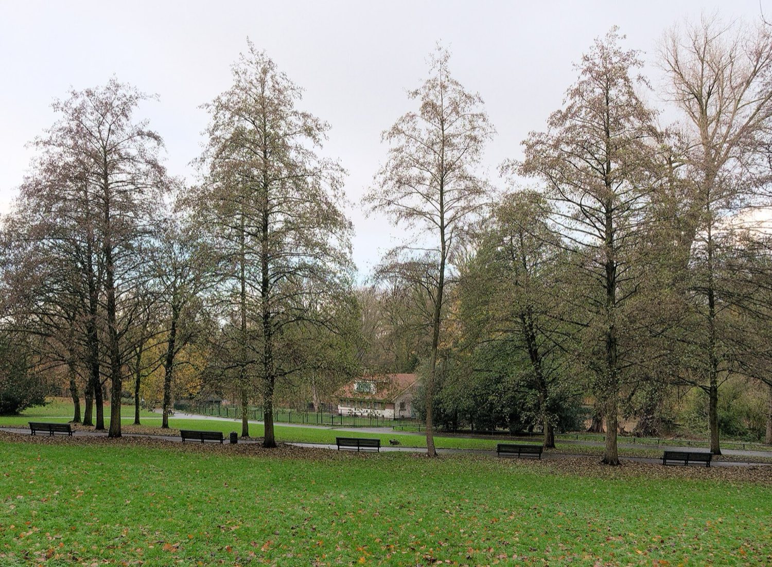 Le kiosque du parc